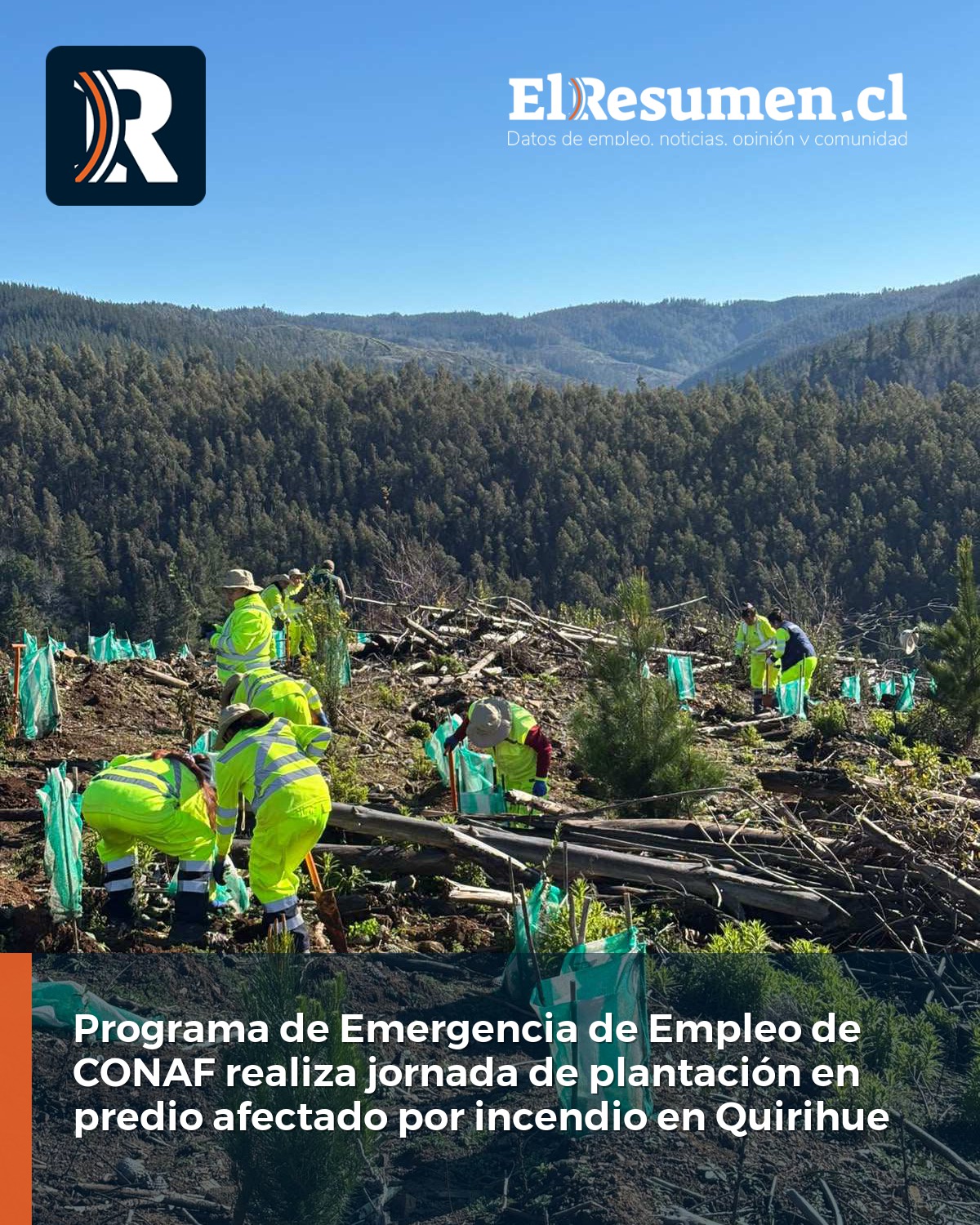 Nota de Prensa: Programa de Emergencia de Empleo de CONAF realizó jornada de plantación de árboles nativos en predio afectado por incendio en Quirihue