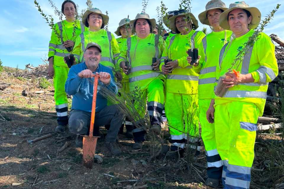 Programa de Emergencia de Empleo de CONAF realiza jornada de plantación en predio afectado por incendio en Quirihue
