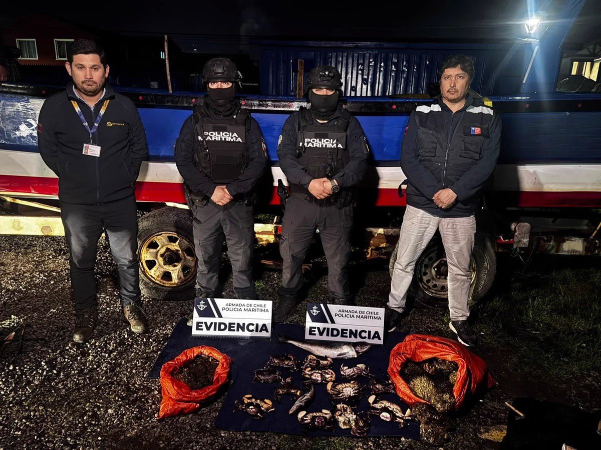 Detienen a cinco sujetos por extracción ilegal de locos y jaiba en las costas de la Isla Mocha – El Conquistador Concepción 98.9 FM