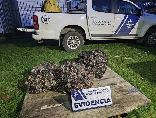 Imagen desde buscador