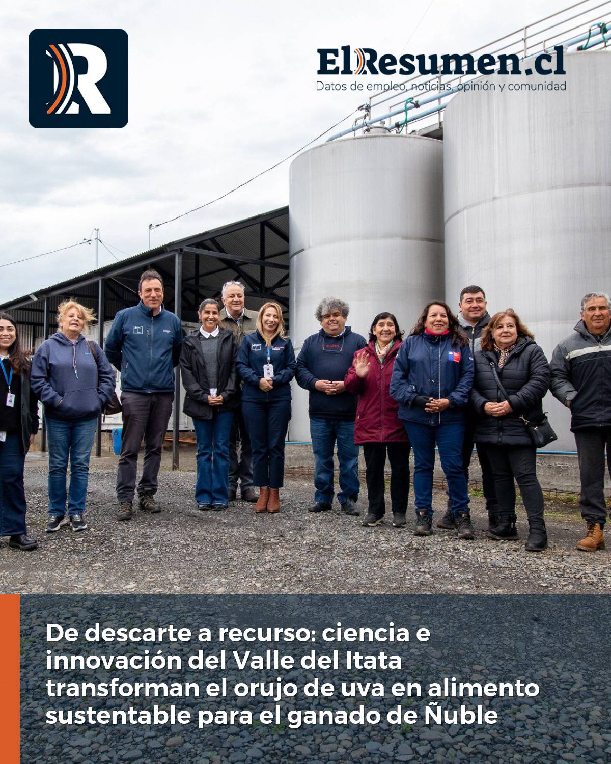De descarte a recurso: ciencia e innovación del Valle del Itata transforman el orujo de uva en alimento sustentable para el ganado de Ñuble