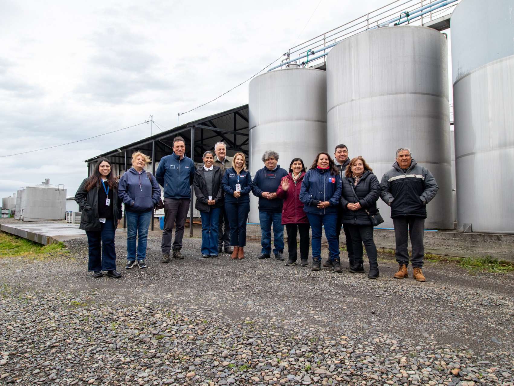 De descarte a recurso: ciencia e innovación del Valle del Itata transforman el orujo de uva en alimento sustentable para el ganado de Ñuble