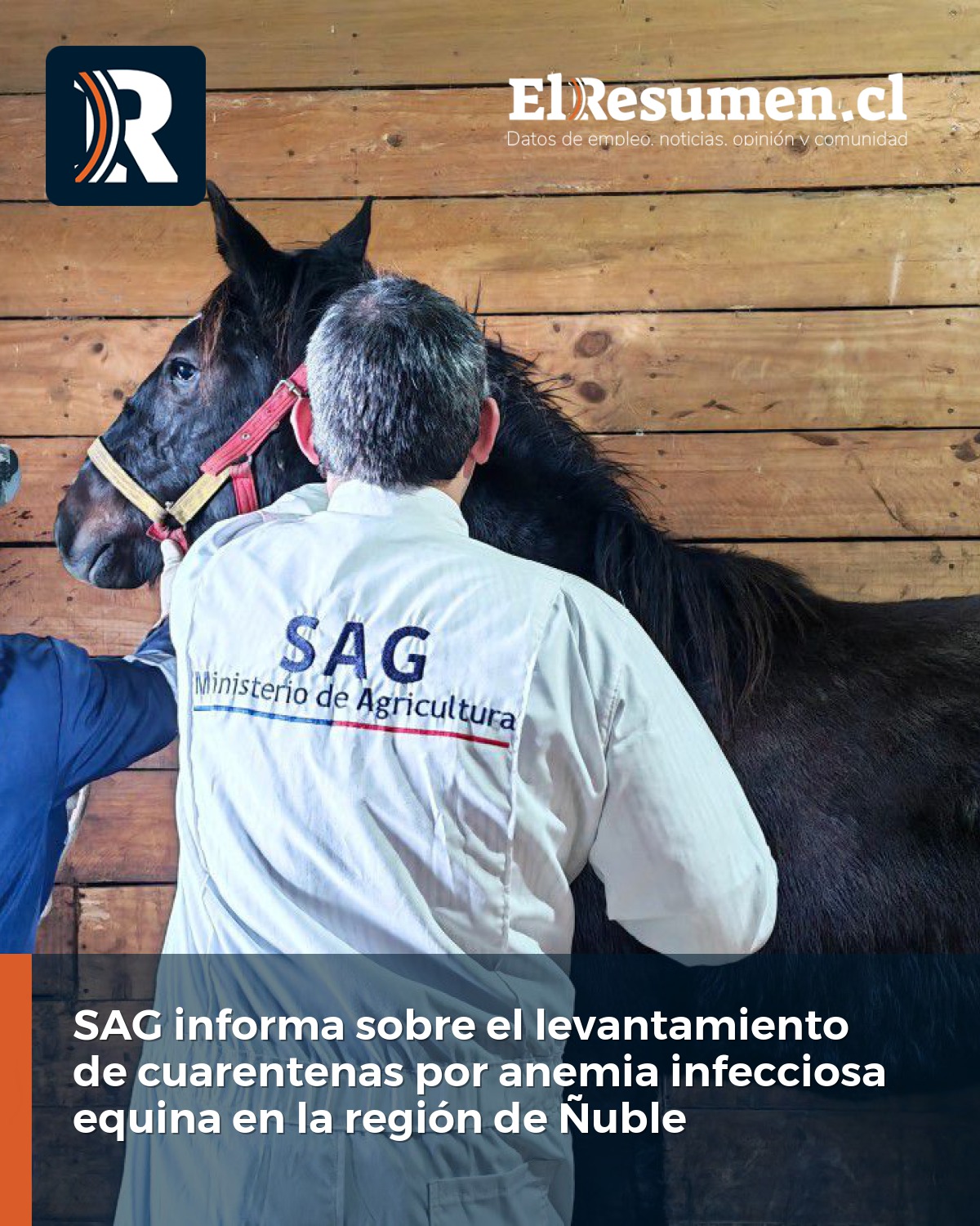 SAG informa el término de las cuarentenas por anemia infecciosa equina en Ñuble