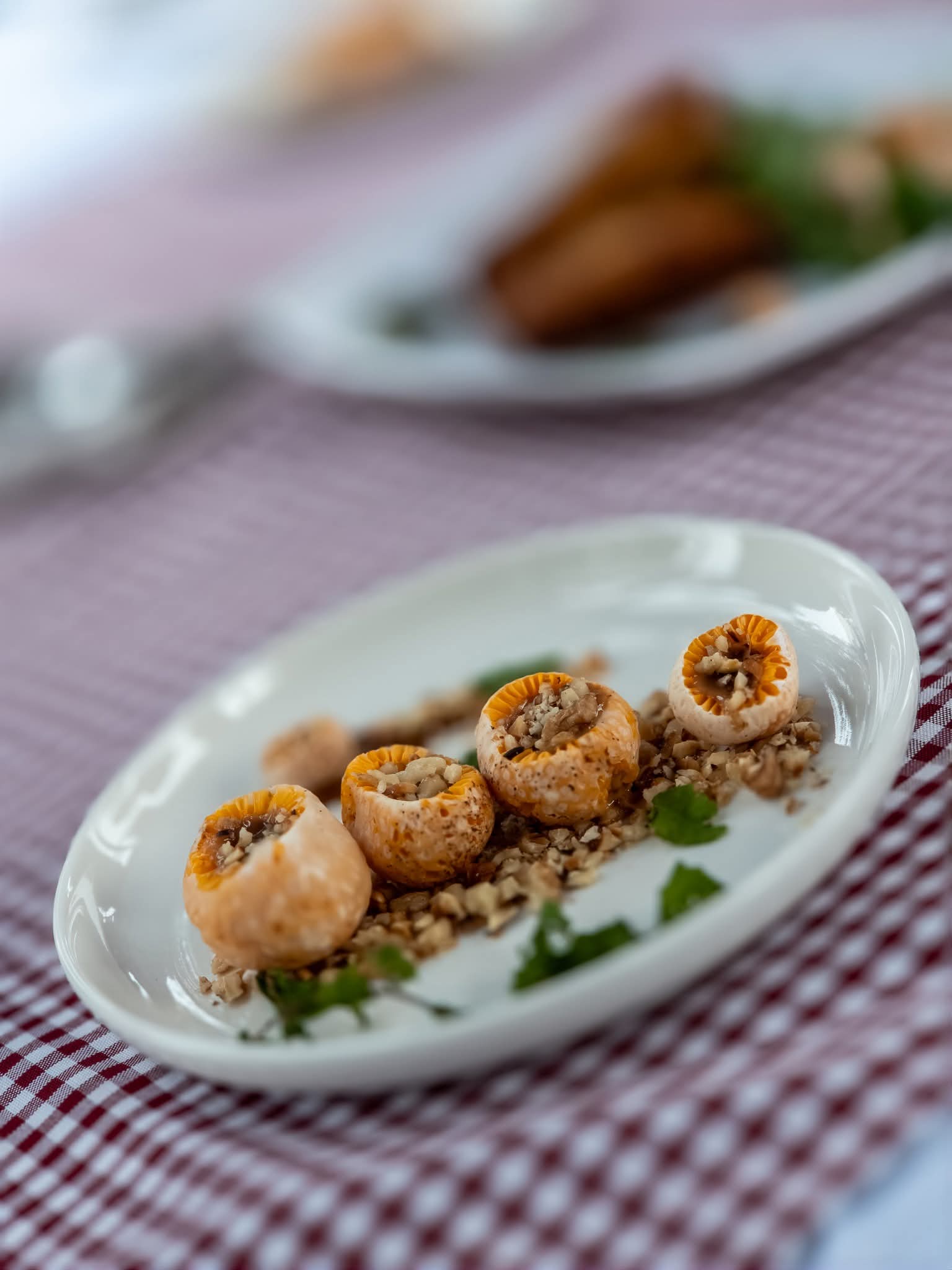 Sabor y tradición: Diez establecimientos educativos brillaron con innovadoras recetas en la Fiesta del Digüeñe 2026