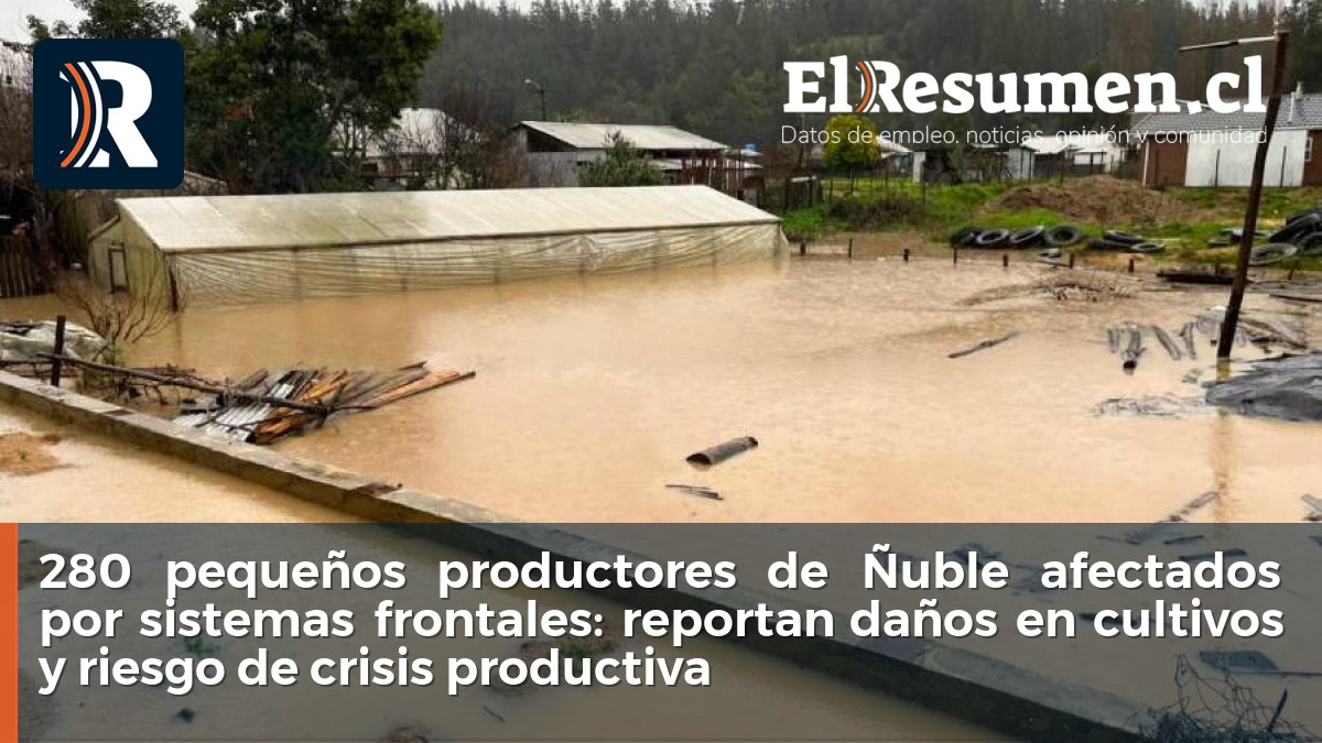 280 pequeños productores de Ñuble afectados por sistemas frontales: reportan daños en cultivos y riesgo de crisis productiva