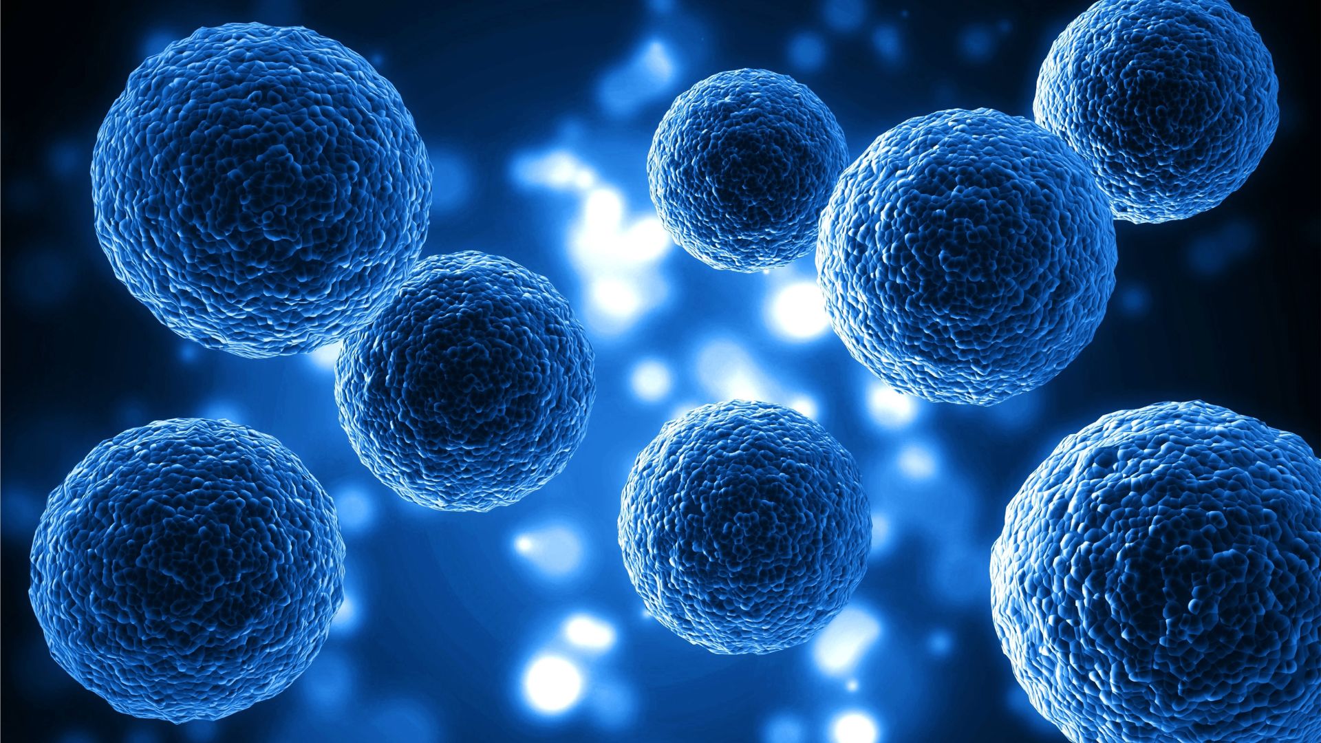 Nobel de Medicina 2025 reconoce hallazgos sobre células T reguladoras en la inmunología