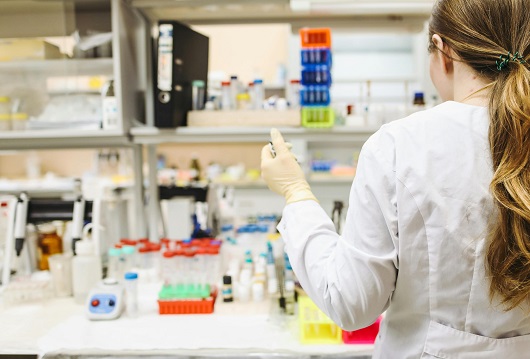 Universidad de Talca abre nueva carrera de Química y Farmacia para el año 2026