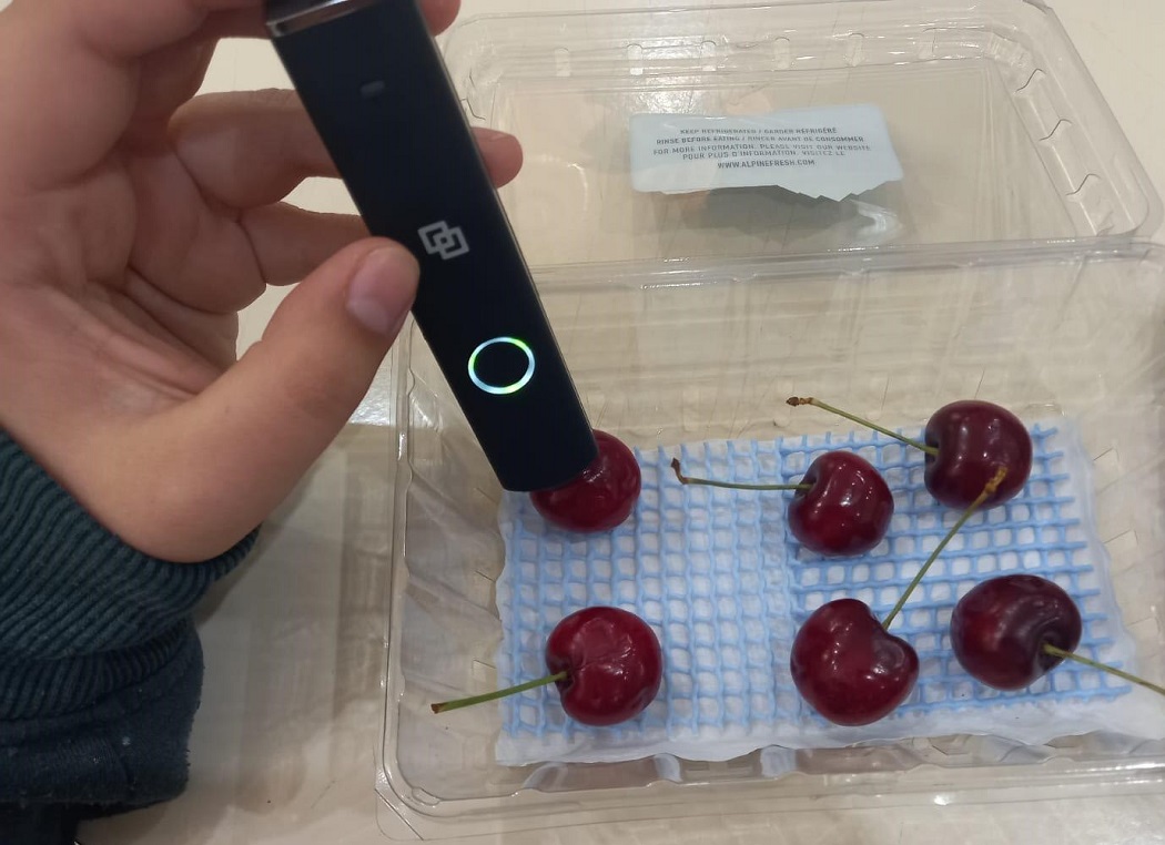 Condiciones climáticas aumentan riesgo de hongos en frutales: INIA impulsa tecnologías de detección y alerta temprana