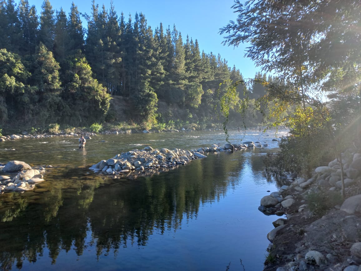 Se adelanta la temporada de pesca recreativa en la región de Ñuble al 17 de octubre de 2025