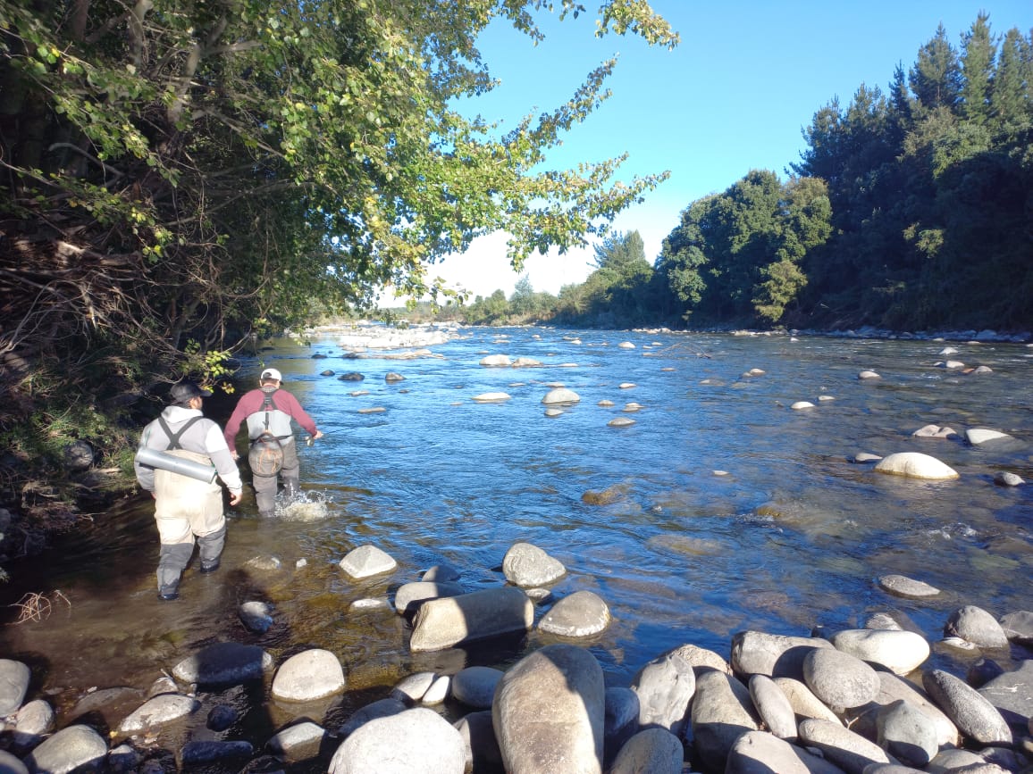 CP - Inicio de la temporada de pesca recreativa se adelanta para el 17 de octubre en la región de Ñuble
