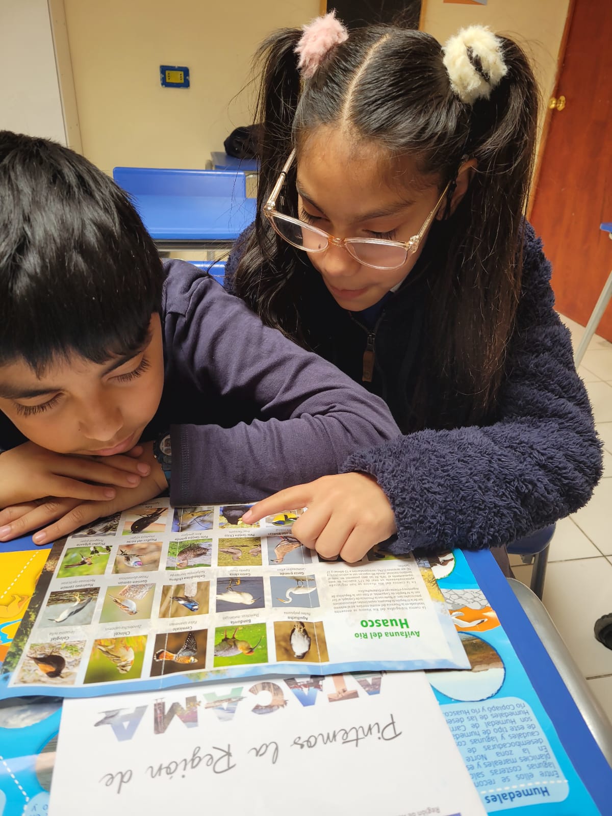 Fundación Coanil presenta propuestas a candidatos presidenciales sobre discapacidad intelectual e inclusión