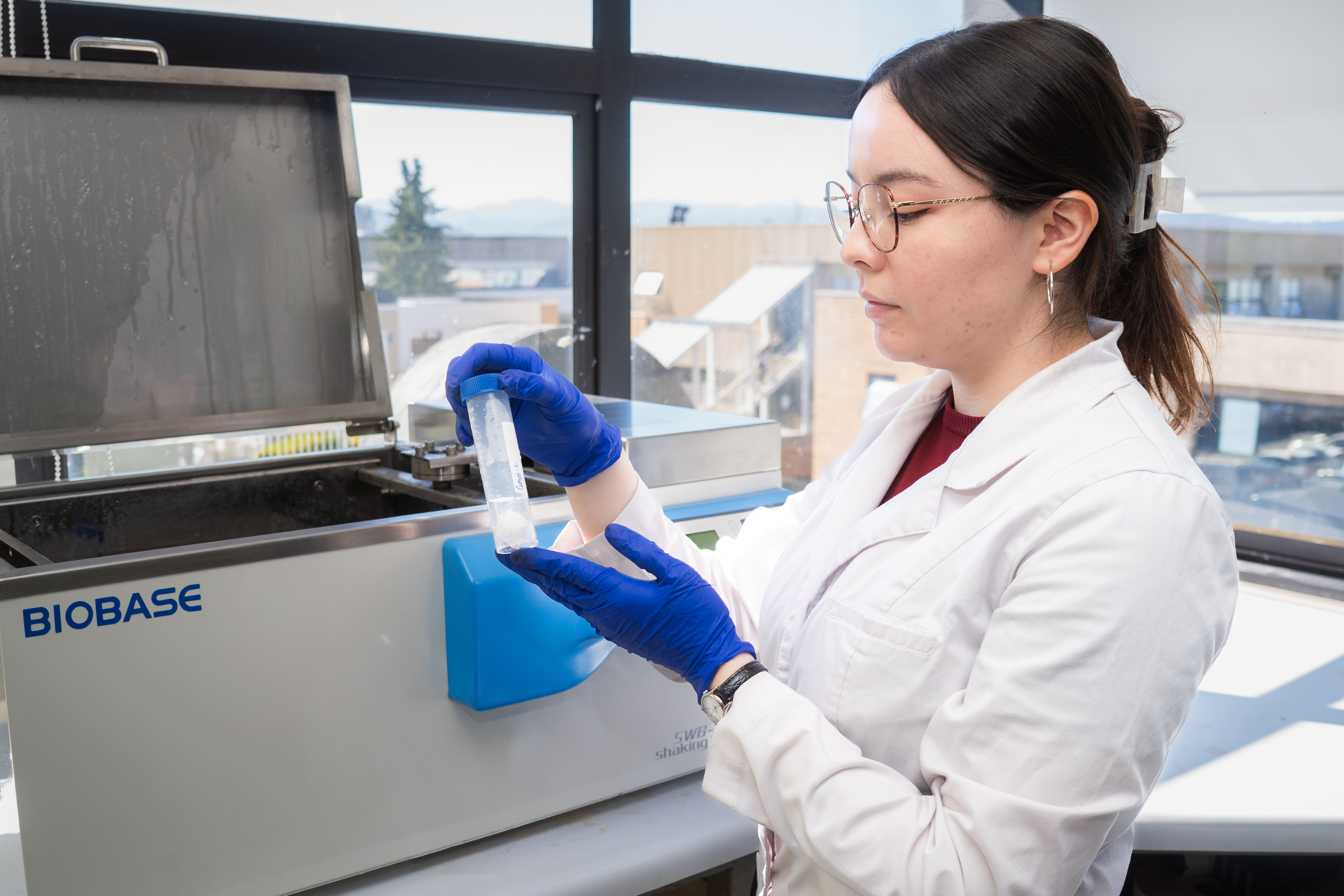 Proyecto innovador busca transformar desechos marinos en materiales sostenibles para la industria de la purificación de aguas