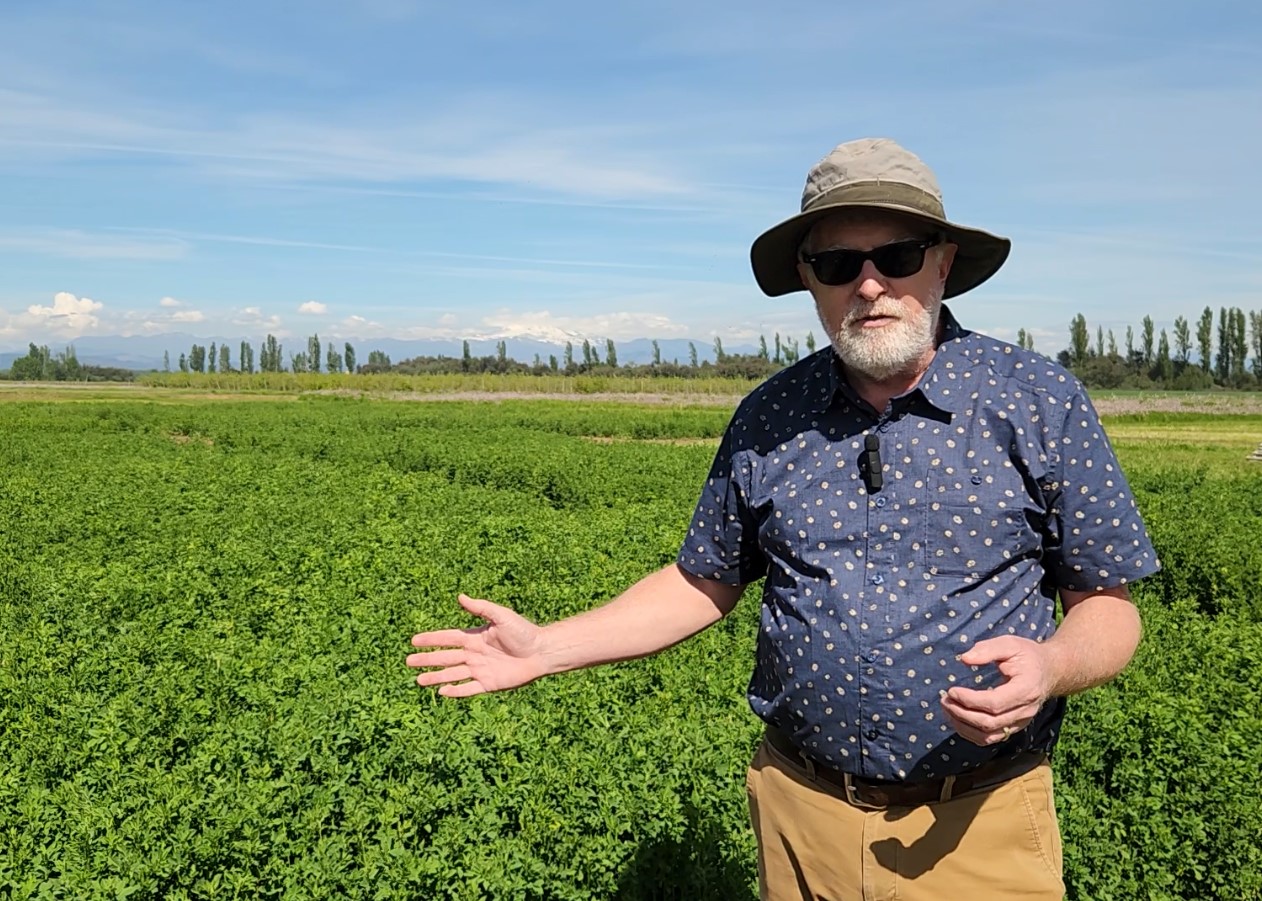 Visita de experto de UC-Davis resalta la necesidad de programas de mejoramiento de alfalfa