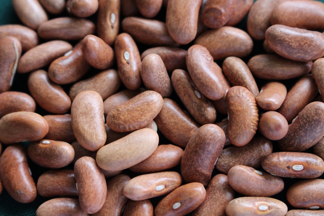 Científico de Universidad de Michigan destacó necesidad de incrementar consumo de legumbres para mejorar nutrición