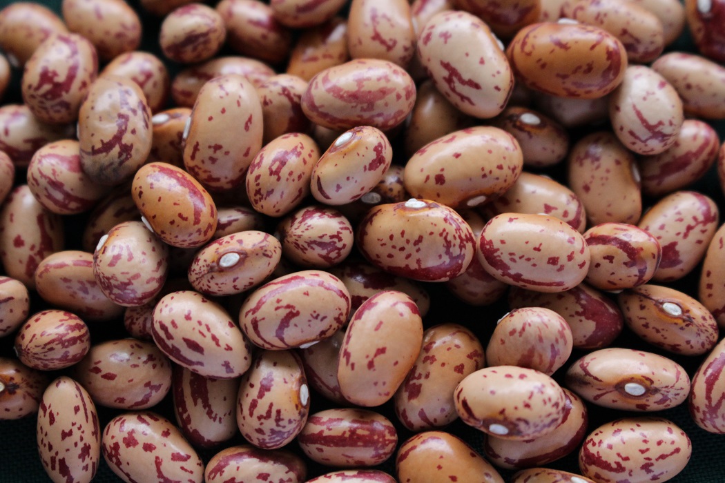 Científico de Universidad de Michigan destacó necesidad de incrementar consumo de legumbres para mejorar nutrición