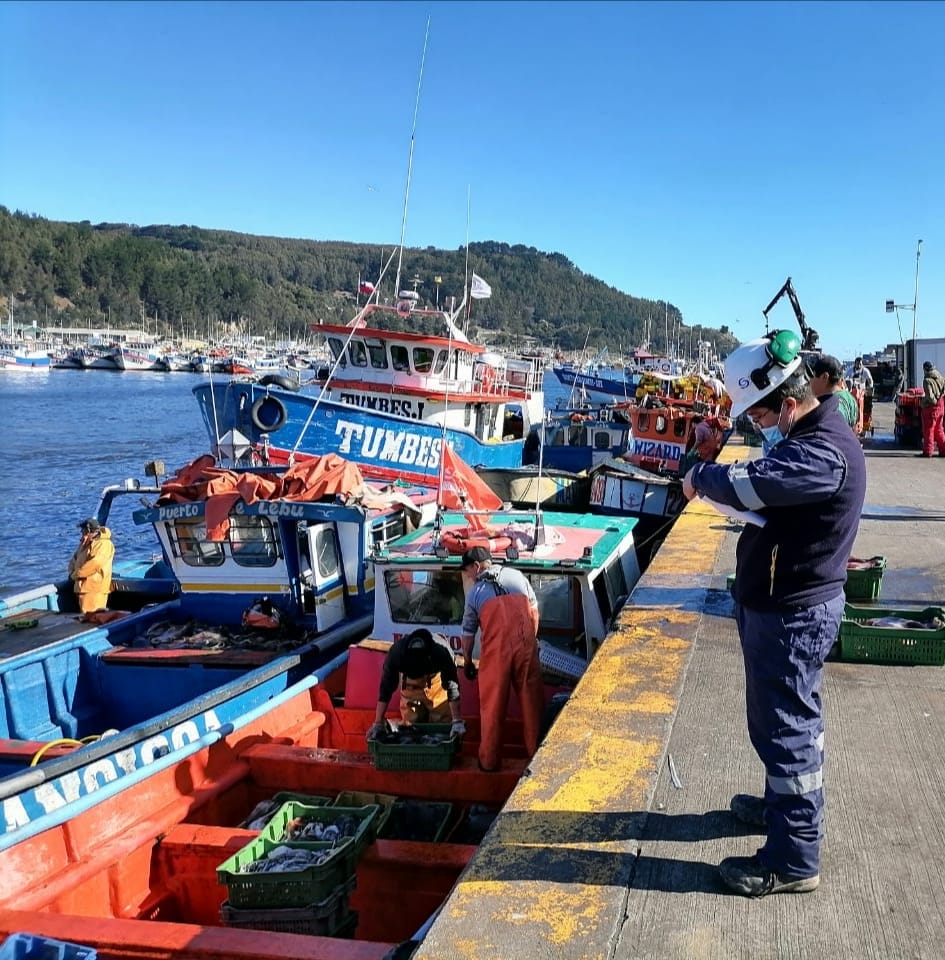 FUNCIONARIOS DE SERNAPESCA EMPLAZAN A PRESIDENCIALES