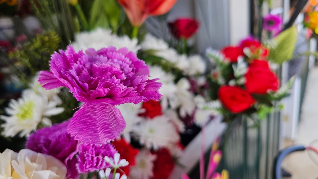 Inauguran nuevos kioscos para las floristas de El Carmen