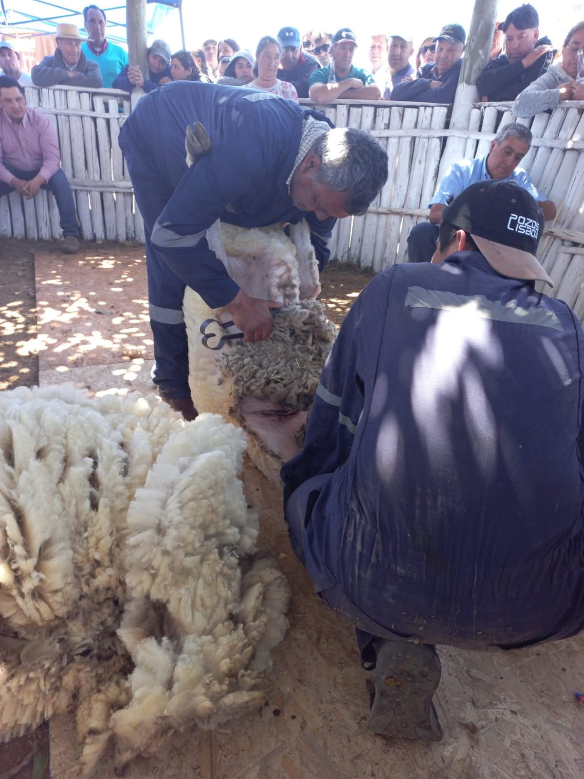 La Fiesta del Cordero de Litueche se celebrará del 31 de octubre al 2 de noviembre en O’Higgins