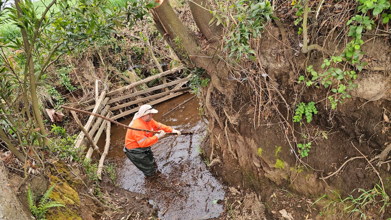 Habilitan el Canal de Riego Municipal de El Carmen: Abastece a 150 familias
