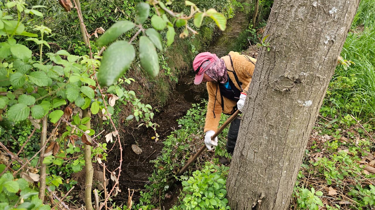 Habilitan el Canal de Riego Municipal de El Carmen: Abastece a 150 familias
