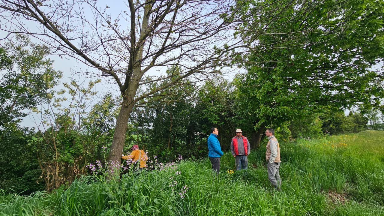 Habilitan el Canal de Riego Municipal de El Carmen: Abastece a 150 familias