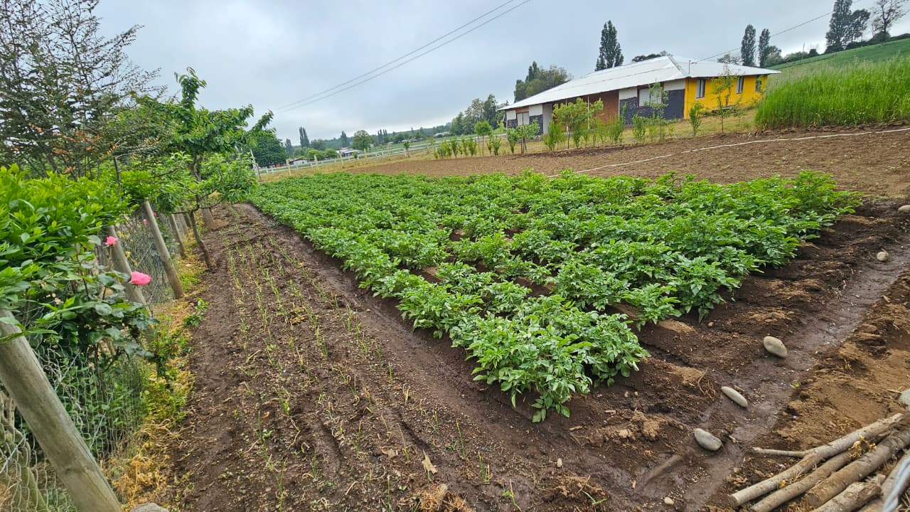 Habilitan el Canal de Riego Municipal de El Carmen: Abastece a 150 familias