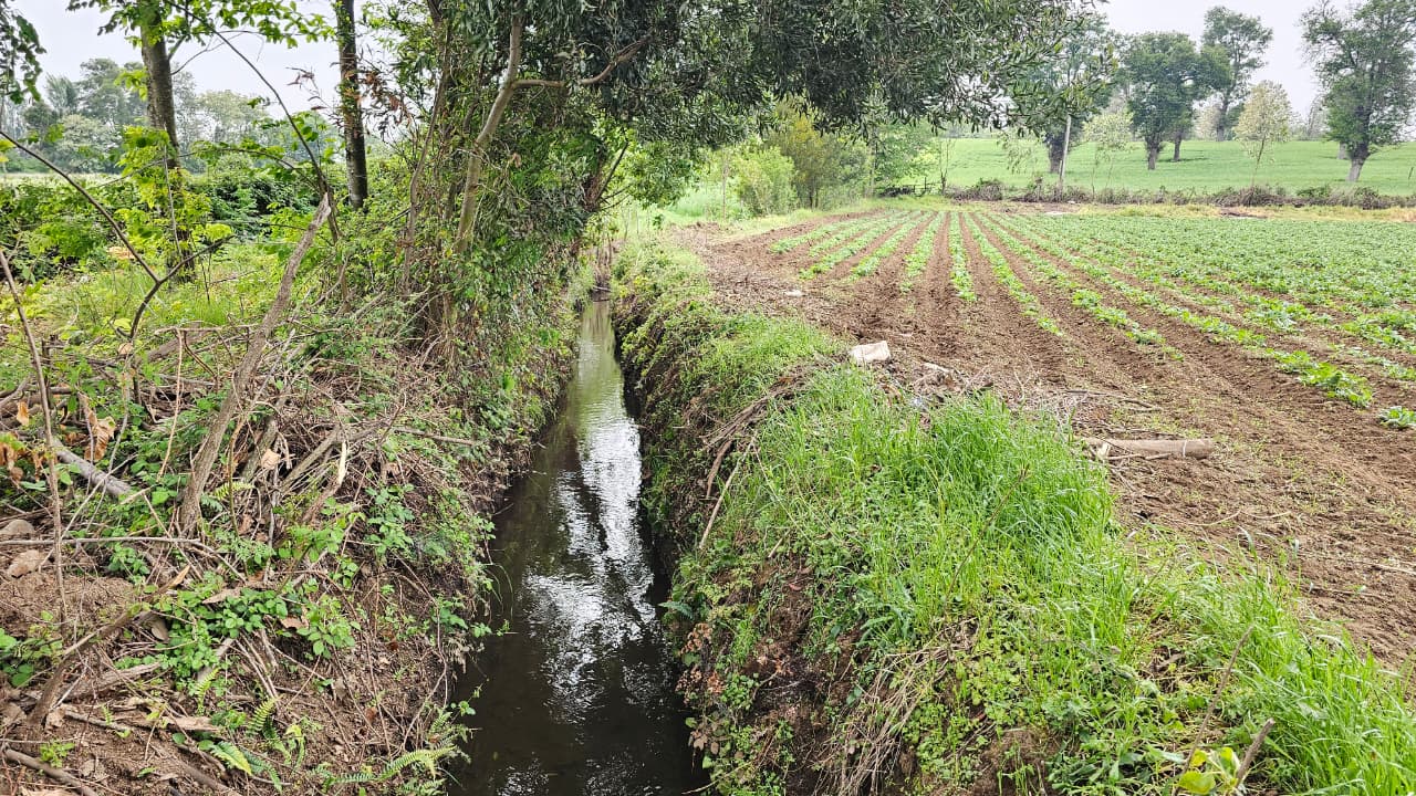Habilitación del Canal de Riego Municipal en El Carmen beneficia a más de 150 familias