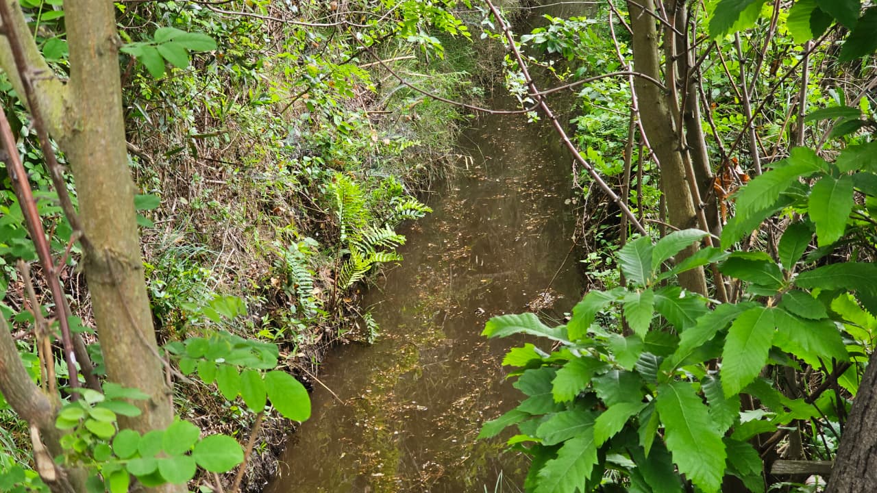 Habilitan el Canal de Riego Municipal de El Carmen: Abastece a 150 familias