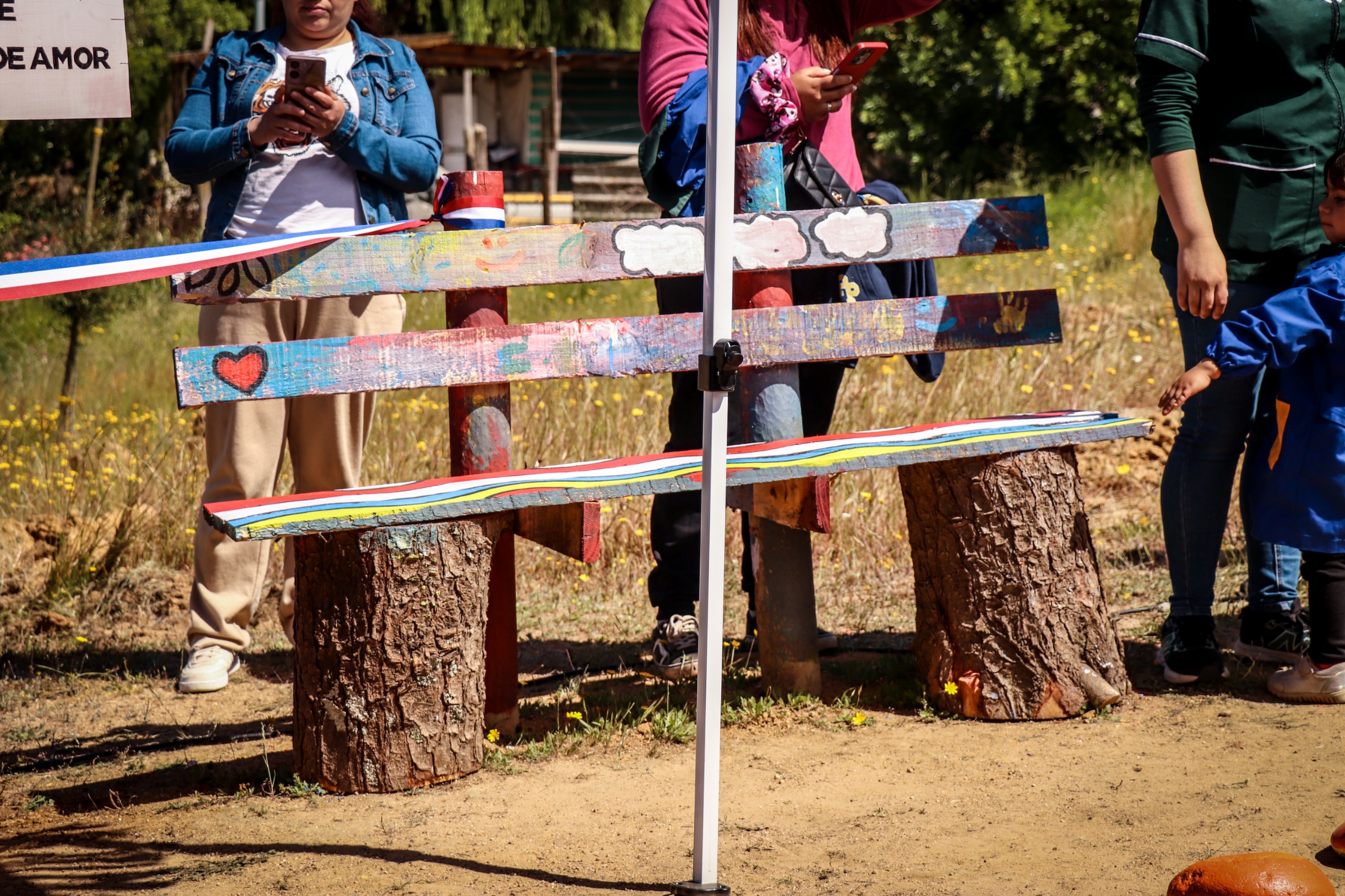 Ninhue celebra los 10 años del Programa Pequeñas Localidades con arborización del Parque Ramadero