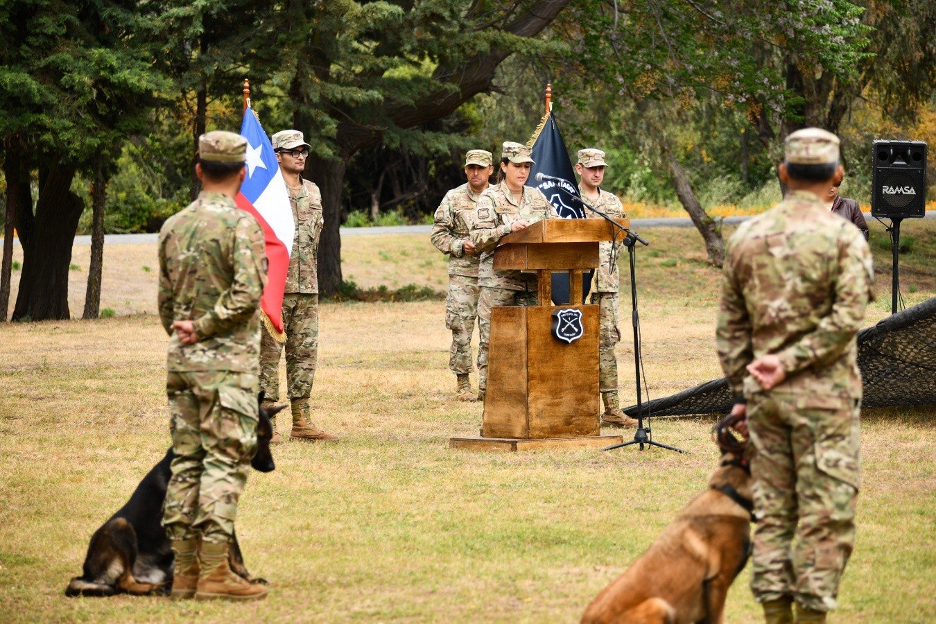 Nuevos guías caninos para fortalecer la seguridad en áreas frontera del norte de Chile