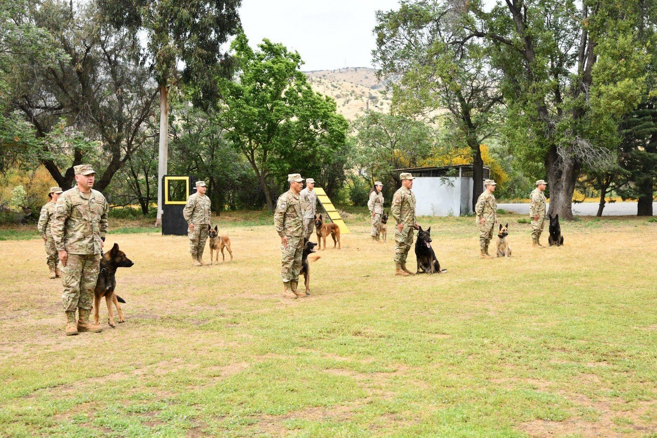 Nuevos guías caninos para fortalecer la seguridad en áreas frontera del norte de Chile