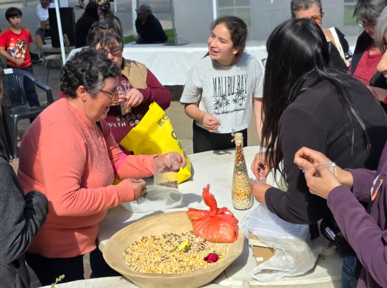 Cientos de asistentes participaron en la Expo Prodesal El Carmen 2025