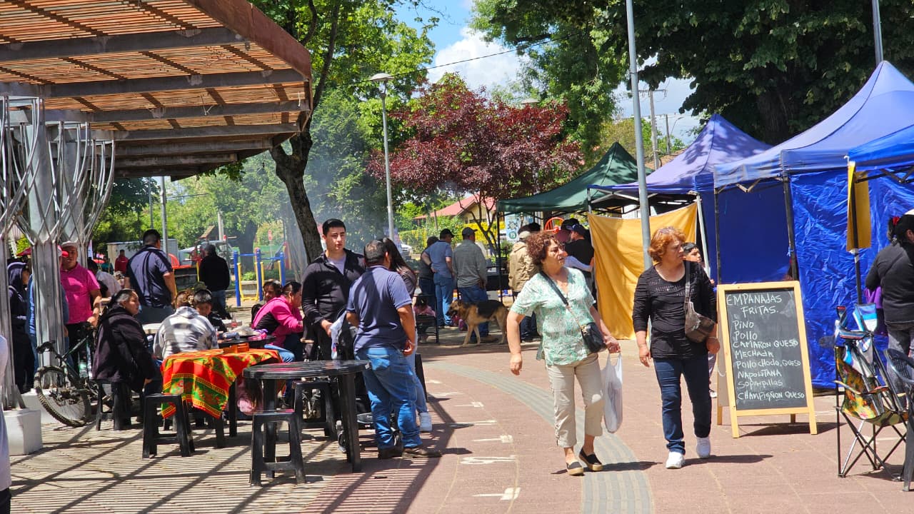 Cientos de asistentes participaron en la Expo Prodesal El Carmen 2025