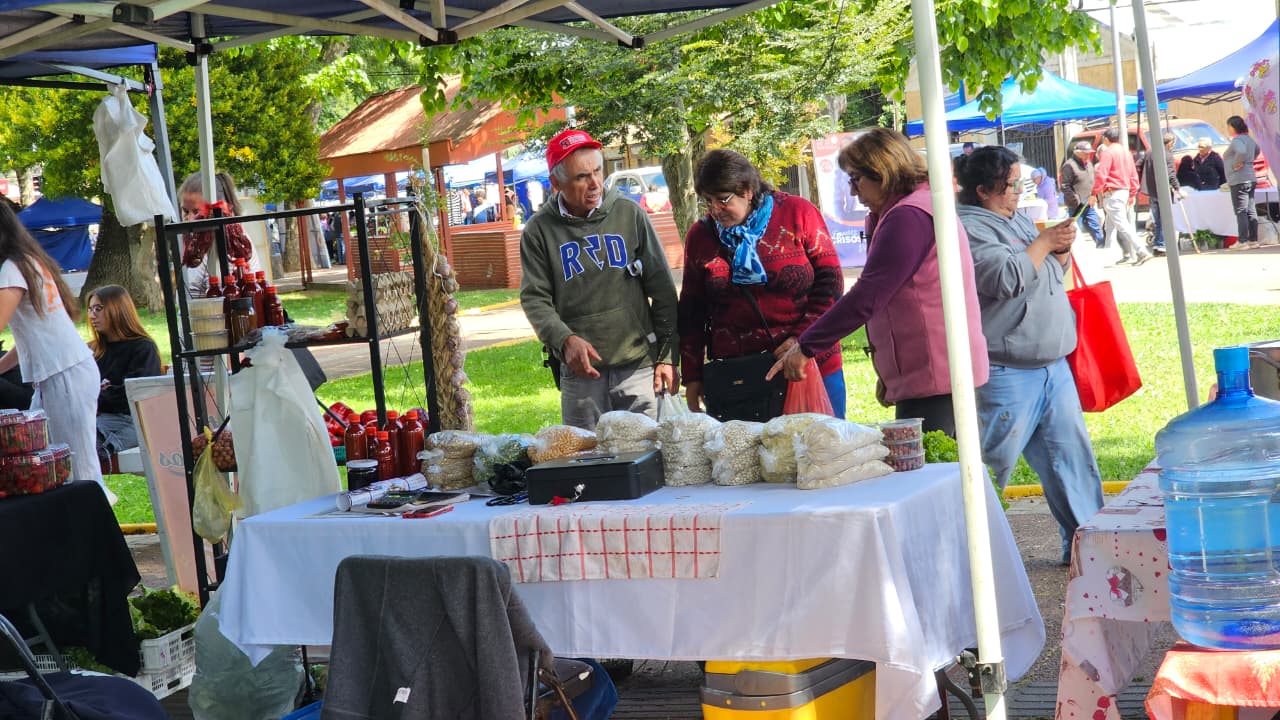 Cientos de asistentes participaron en la Expo Prodesal El Carmen 2025