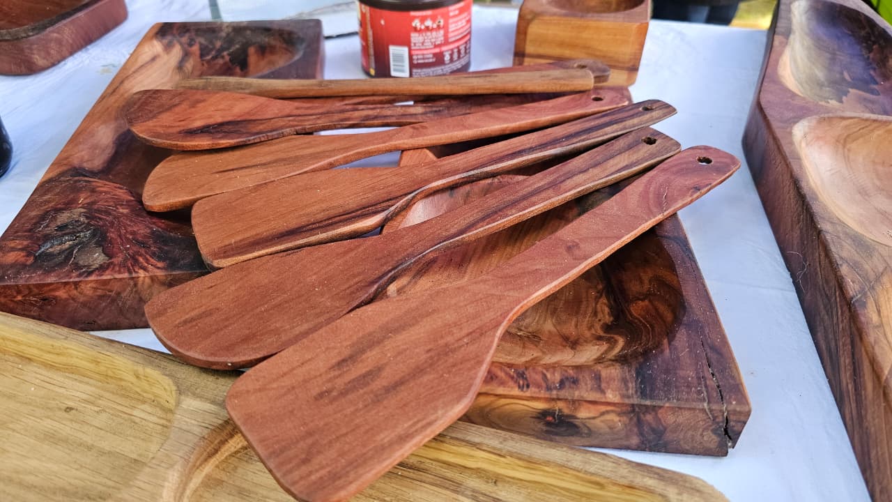 Cientos de asistentes participaron en la Expo Prodesal El Carmen 2025