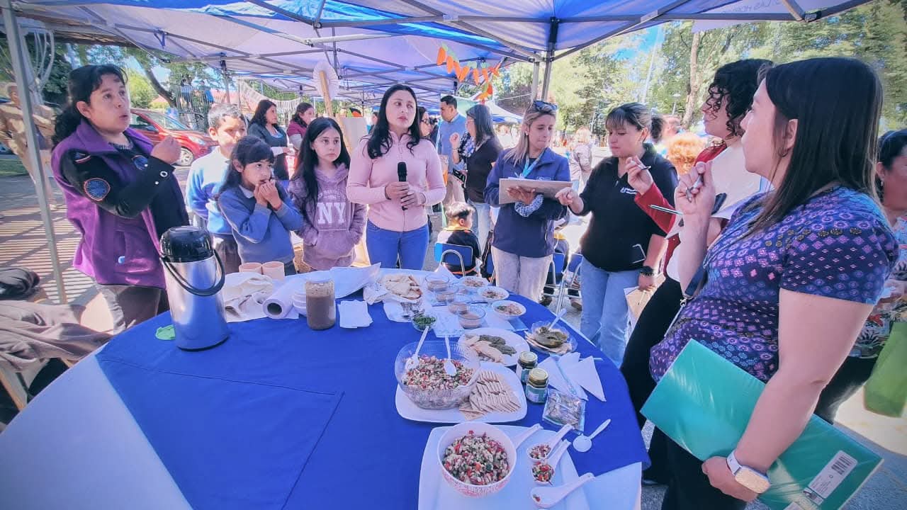 El Carmen vivió la sexta versión del comunal de recetas escolares saludables