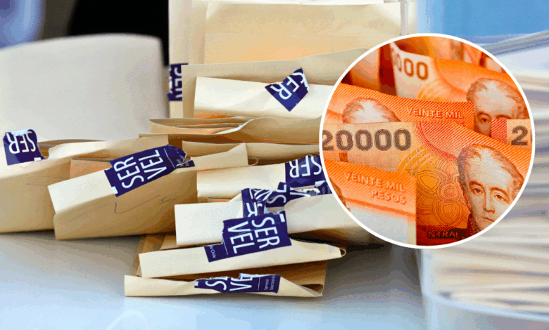 Reembolsos por voto en elecciones 2025: ¿Cuánto recibirán los candidatos en Ñuble?