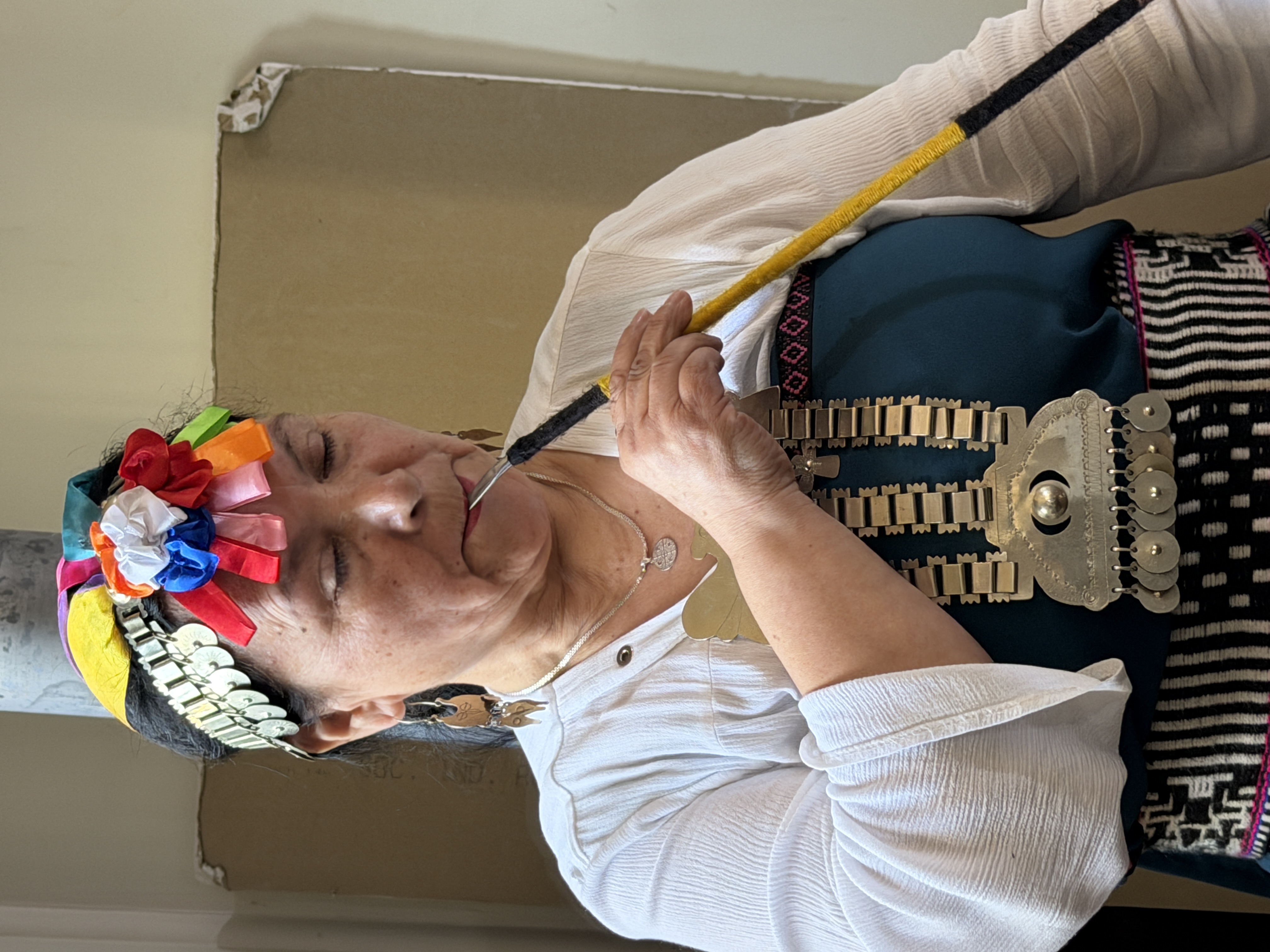 Gladys Catricheo: educación, cultura y resistencia mapuche desde Chillán Viejo