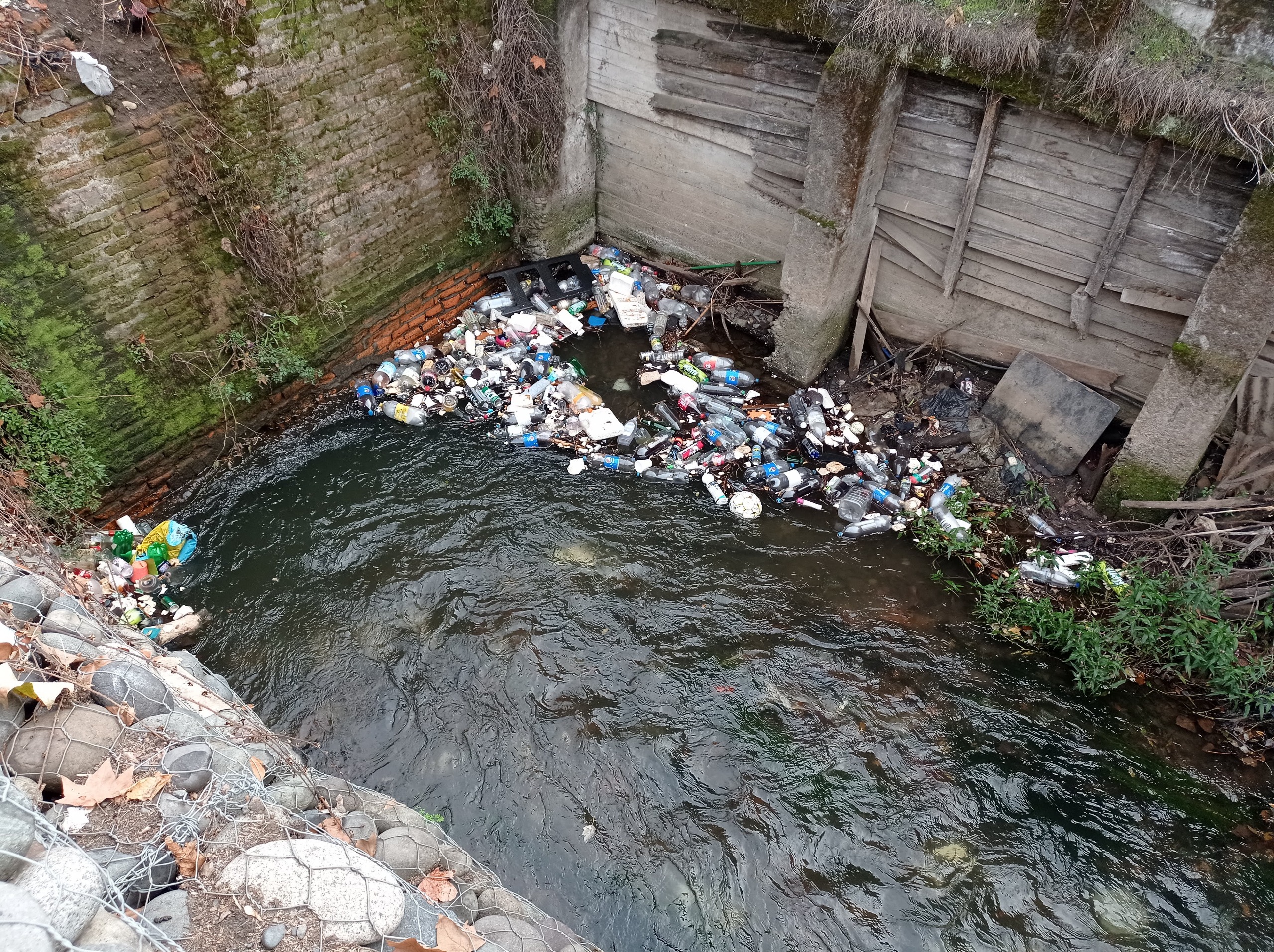 CNR y Gobierno Regional de Ñuble lanzan programa para mejorar la calidad del agua del canal de la Luz