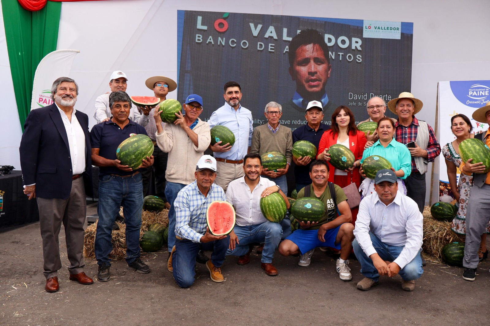 Más de 4 millones de sandías de Paine llegarán al mercado en la temporada 2025 – 2026