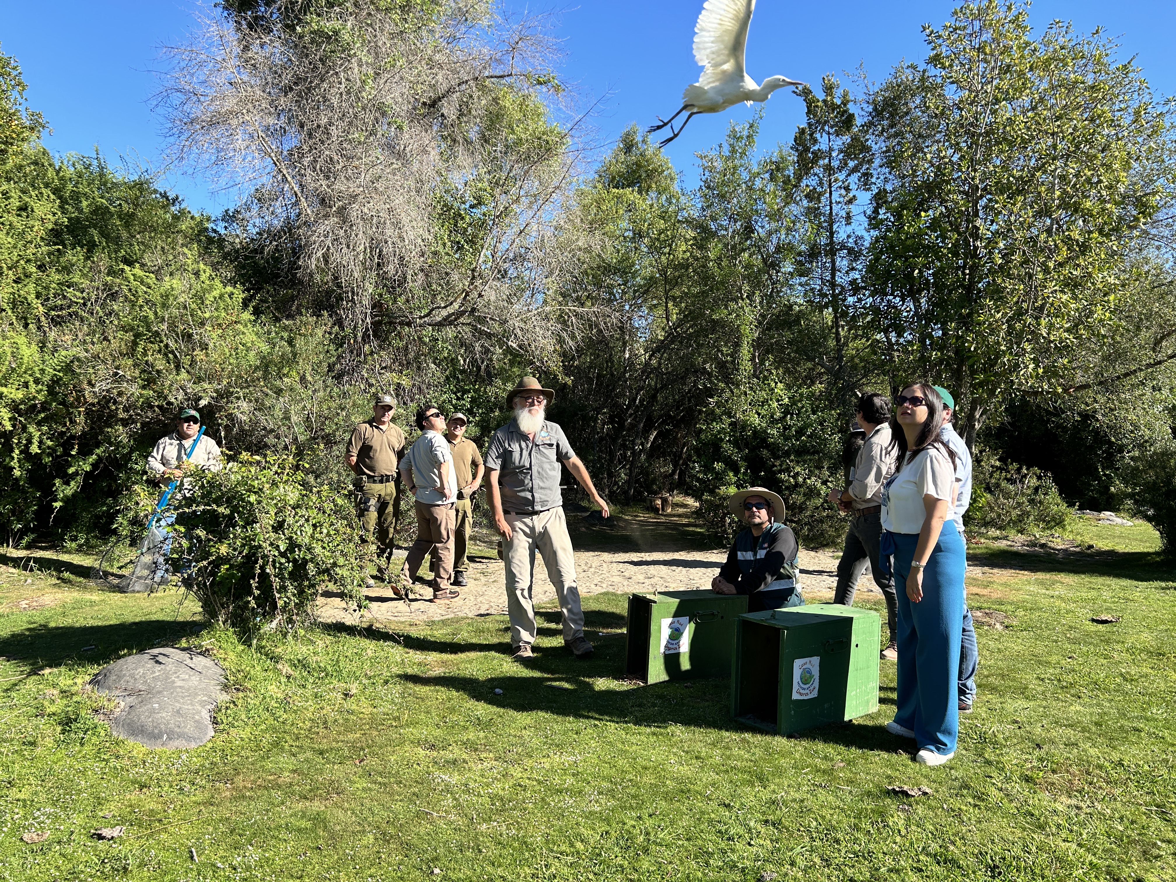 Liberación de garzas en el río Achibueno destaca participación de Ministra de Agricultura en evento ambiental