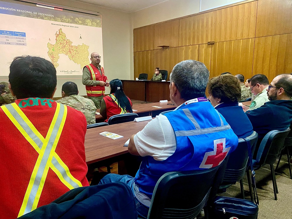 Jornada de trabajo sobre emergencias y desastres