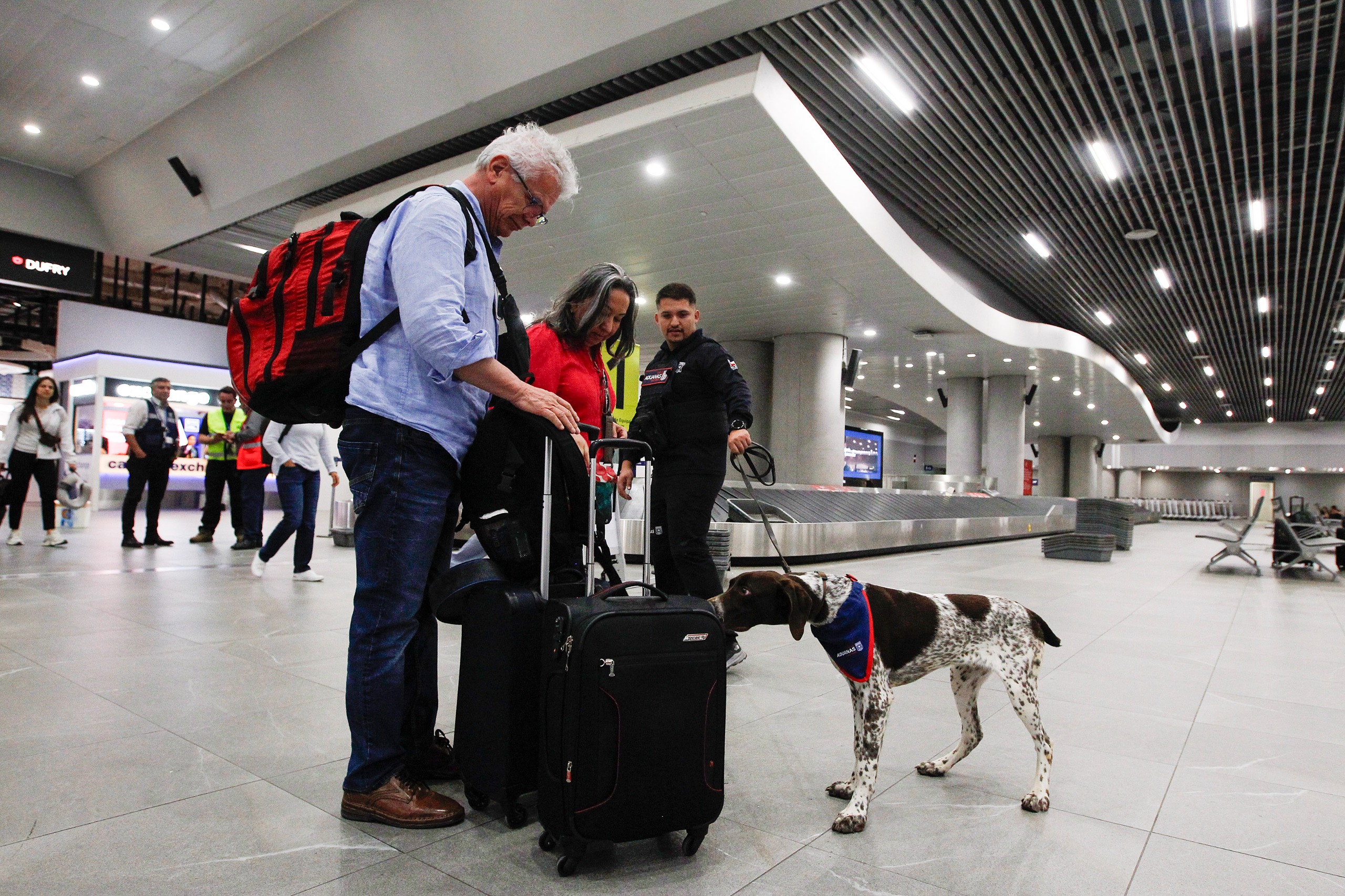 Nueve cachorros de la camada 2025 inician su entrenamiento en el Aeropuerto de Santiago