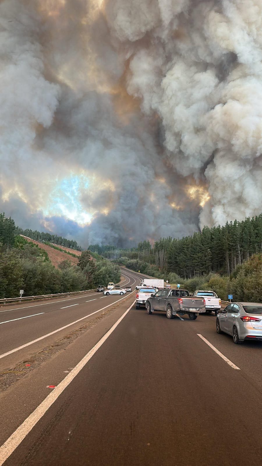 Coordinación entre empresas y CONAF para enfrentar 26 incendios forestales en el país