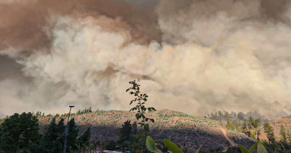 Autoridades de la región trabajan en redes de colaboración para combatir incendios en diversas comunas