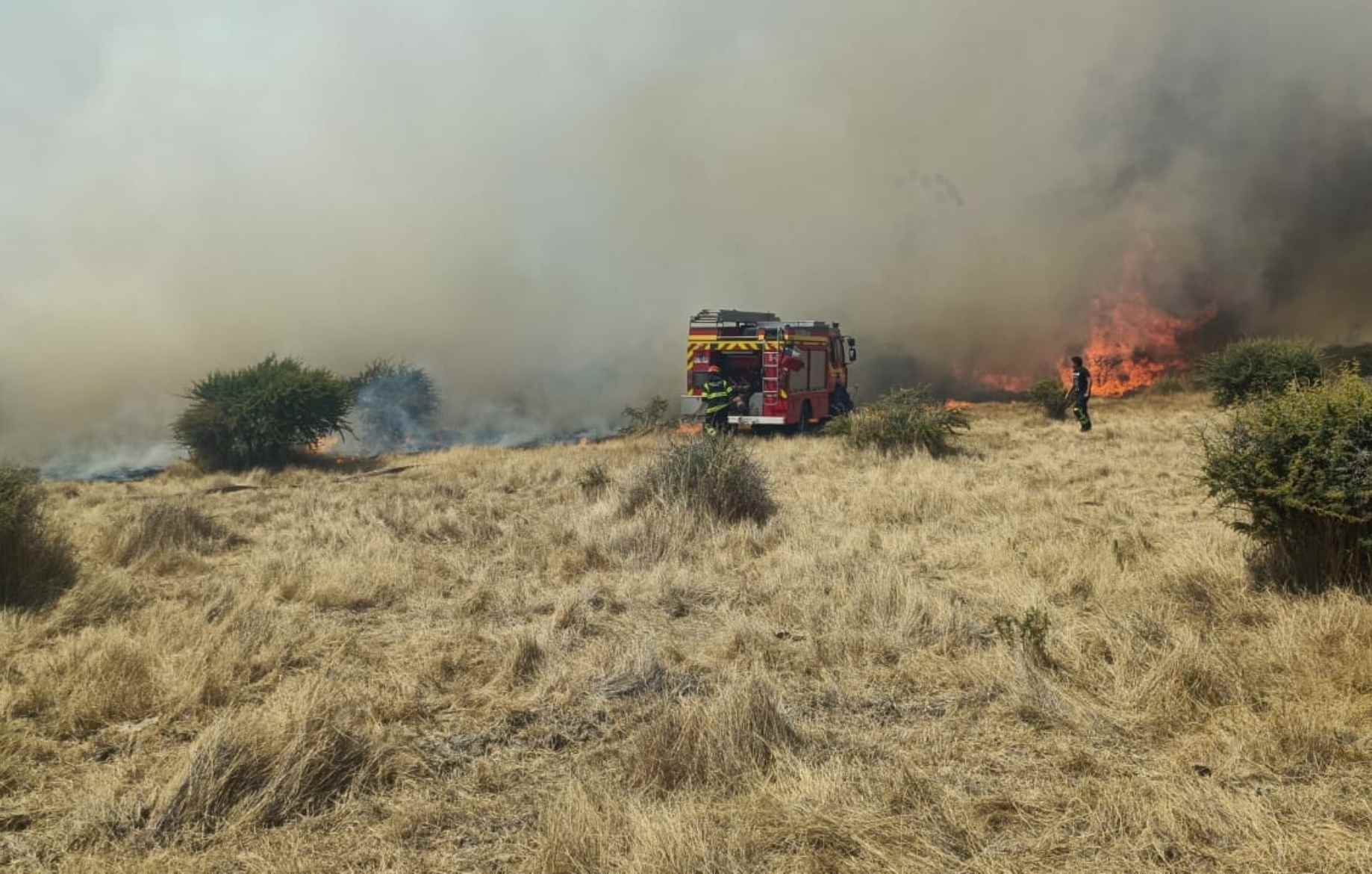 Incendio forestal en San Nicolás deja a mujer grave y destruye viviendas en la región de Ñuble