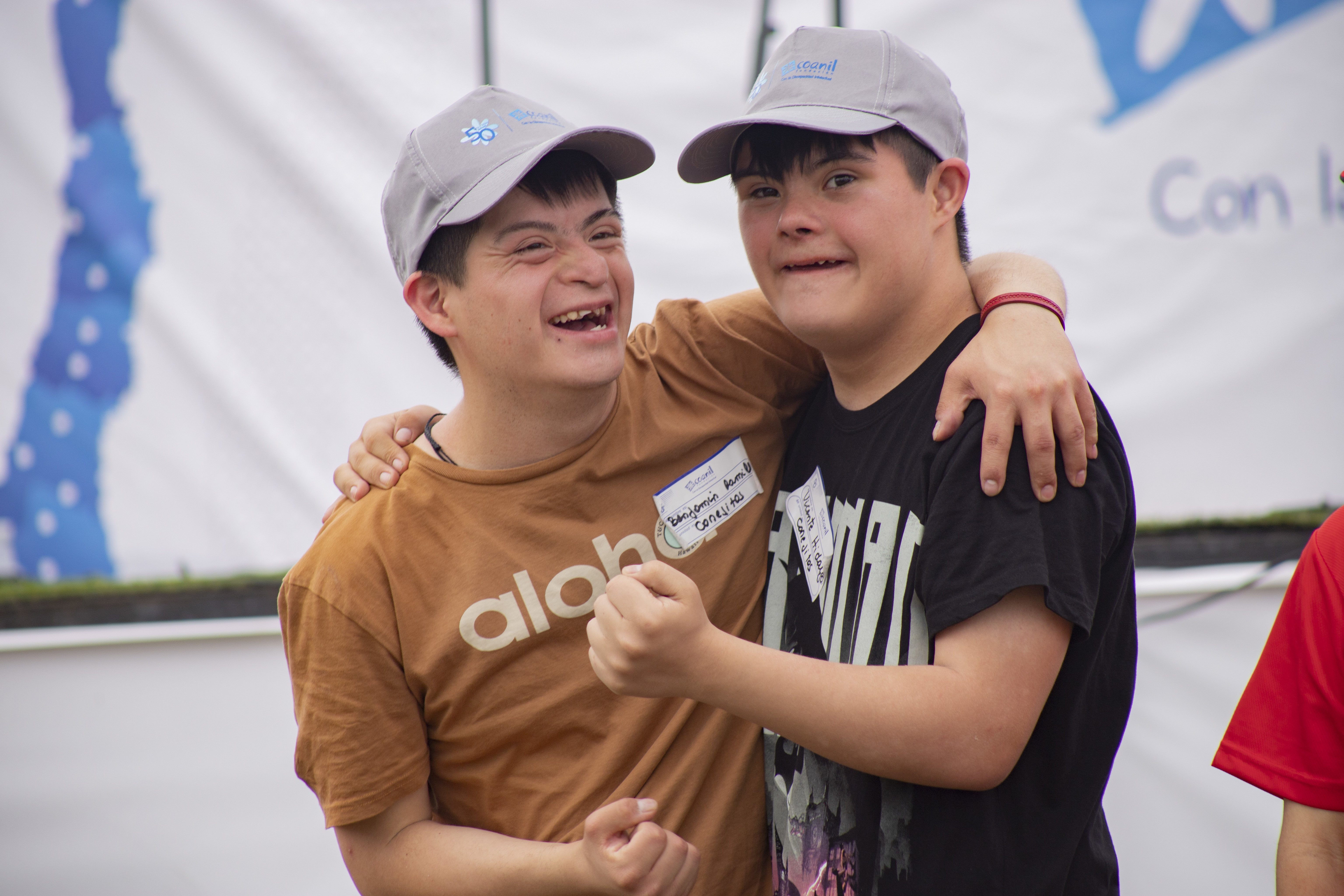 Importancia de la Ley de Inclusión Laboral y su impacto en el ámbito laboral chileno