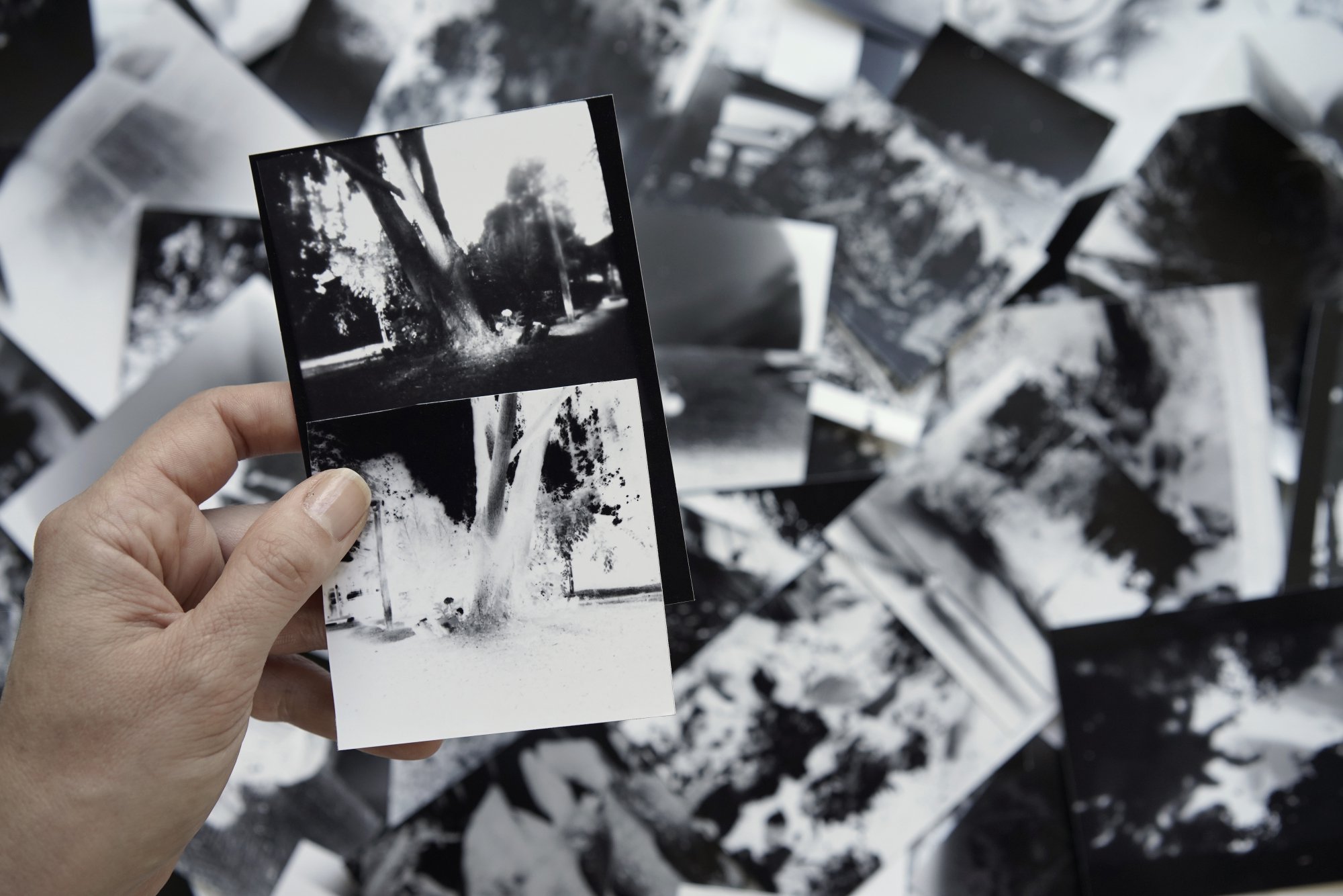 La artista visual Carola Sepúlveda de Pinto presenta su innovador proyecto fotográfico