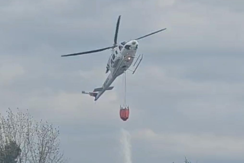 Incendio forestal en Bulli Estación, genera preocupación ya que estaria cerca de viviendas