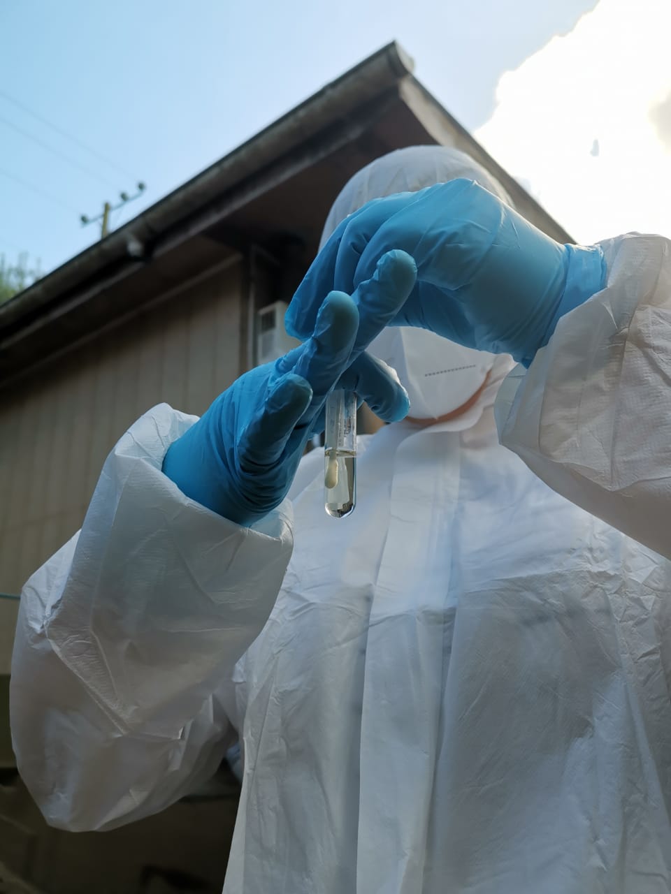 Confirmación de Influenza Aviar H5N1 en Aves Silvestres en la Región de Valparaíso